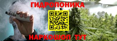 дурь Можга