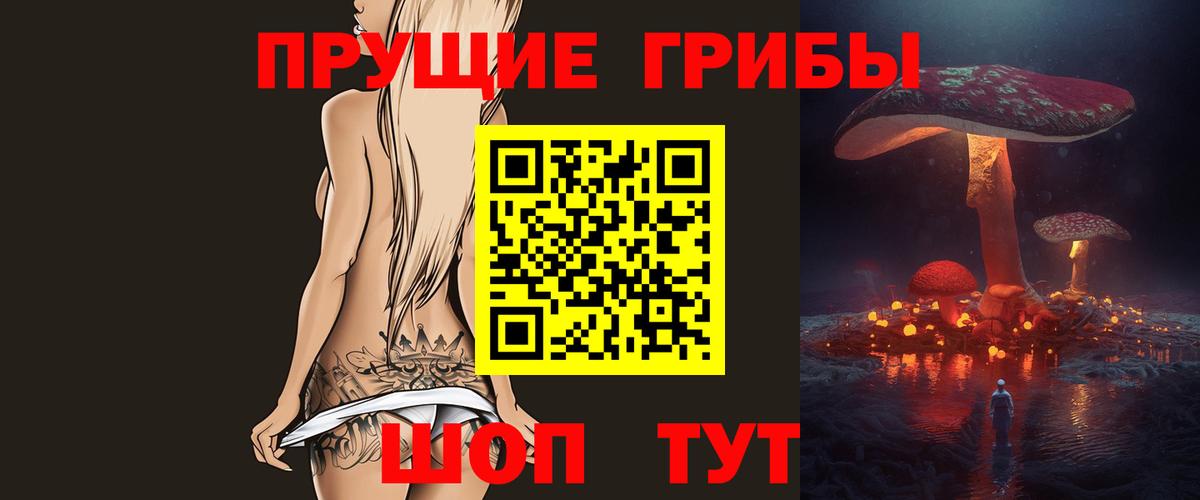 Псилоцибиновые грибы GOLDEN TEACHER  Вход с VPN  Галлюциногенные грибы мицелий  Северск 